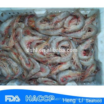 HL002 crevettes marines sauvages aux fruits de mer